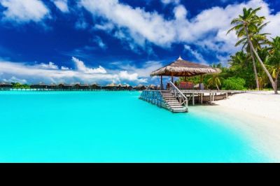 Karibik, Südsee oder Malediven? 1 Woche Auszeit - nette junge Begleiterin gesucht - LADIES FREE - Bild